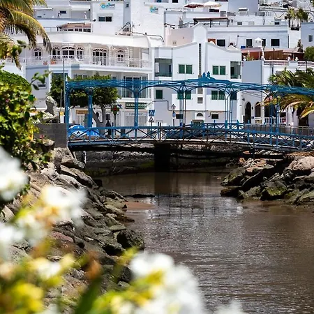Las Palmeras Puerto De Mogan