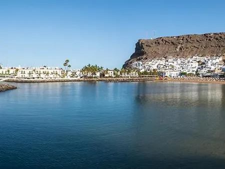 Palmeras Puerto De Mogan