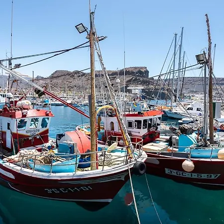 Palmeras Puerto De Mogan